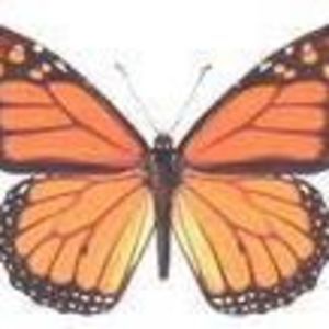 Meet your Posher, Joette